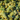 Jahrgang 2024